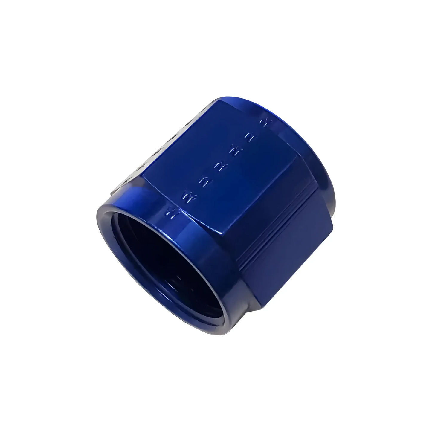 Nitrous Outlet 10AN Blue B-Nut