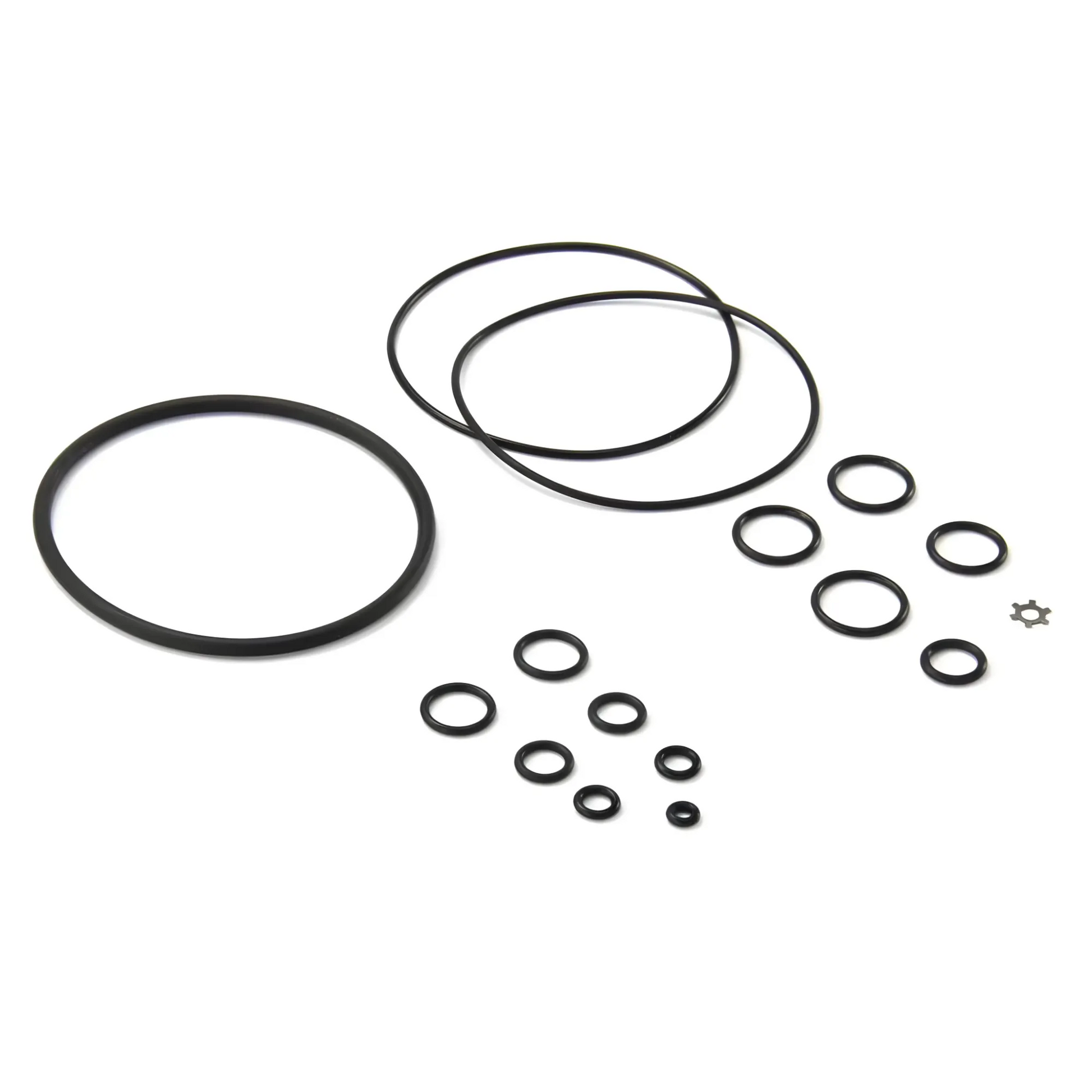 Nitrous Outlet Nitrous Pump Seal Kit - Air Drive