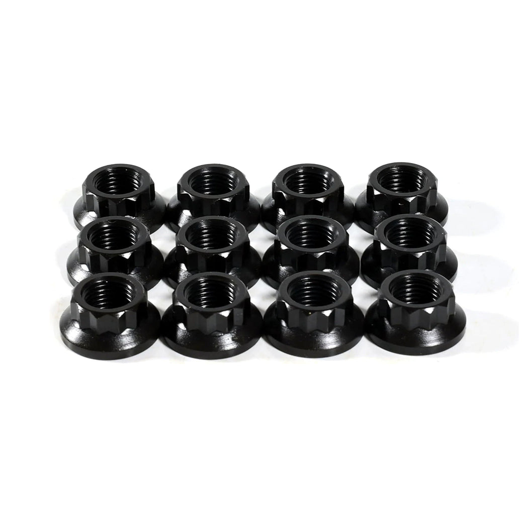 Nuts – N0702 12-Point Nuts M12 x 1.25 Thread, Socket Size 16mm x 12 pcs
